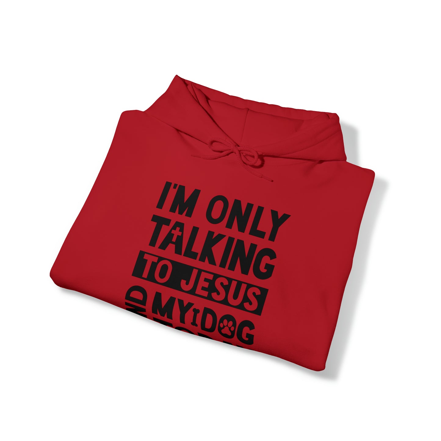 Only Talking To Jesus and My Dog Unisex Hoodie