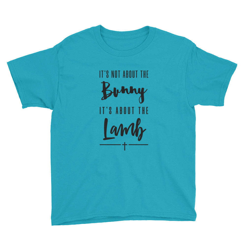 About the LAMB Youth Short Sleeve T-Shirt