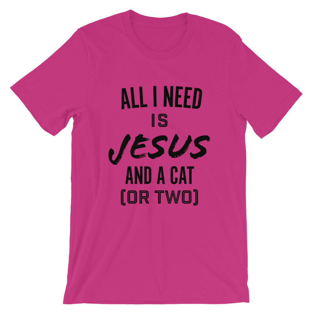 Jesus and a cat or two Unisex T-Shirt