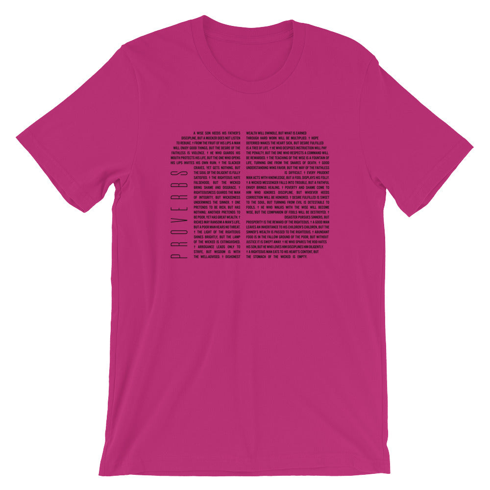 Proverbs 13 Unisex T-Shirt