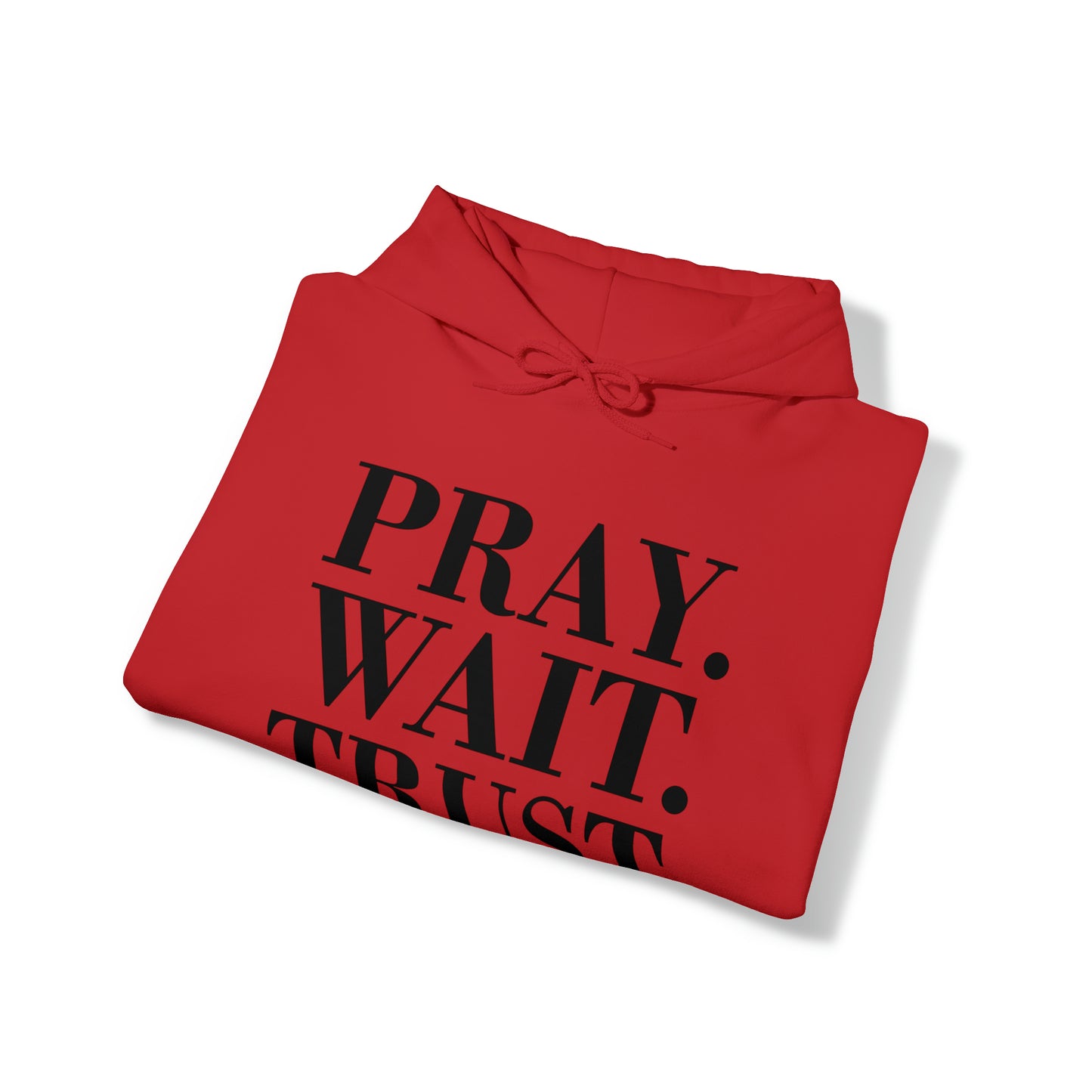 Pray. Wait. Trust. Hoodie