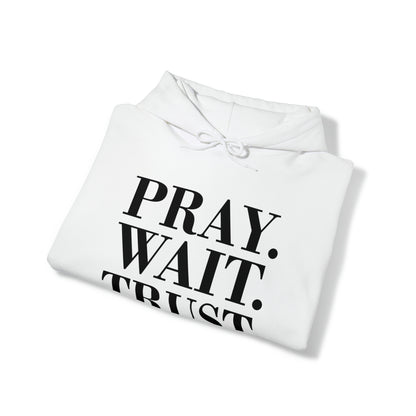 Pray. Wait. Trust. Hoodie