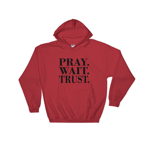 Pray. Wait. Trust. Hoodie